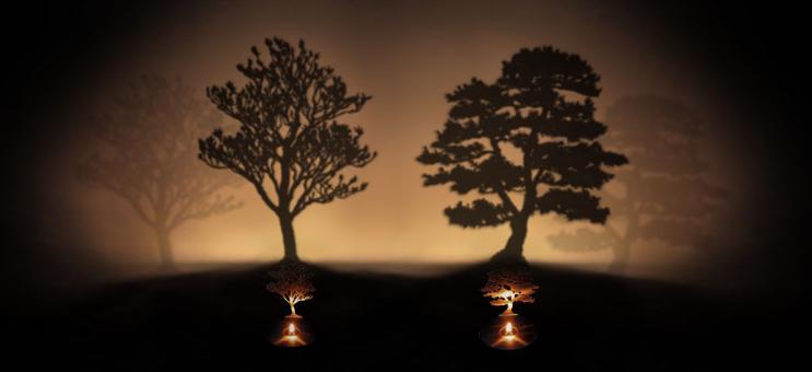 light-tree.JPG