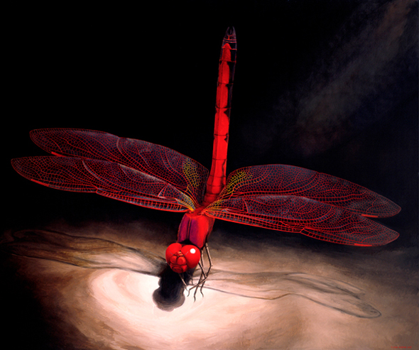 rusty_the_dragonfly.jpg